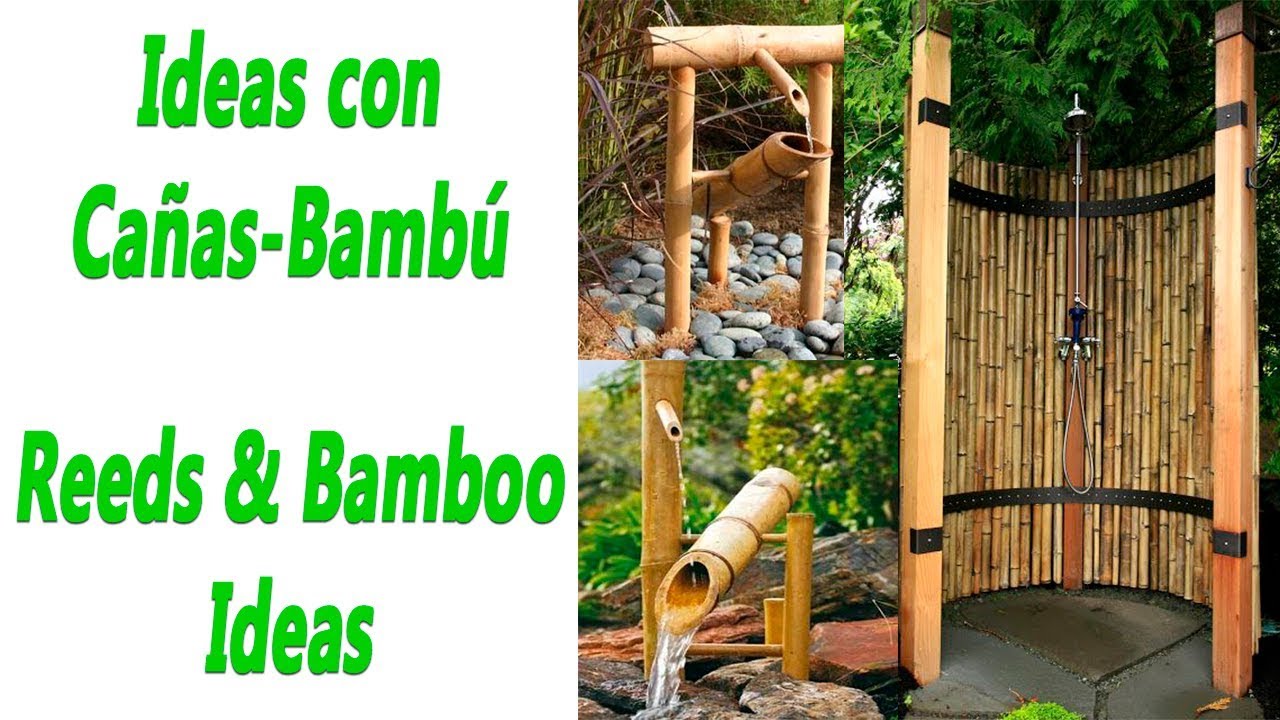 Cañas de bambu decoracion interior